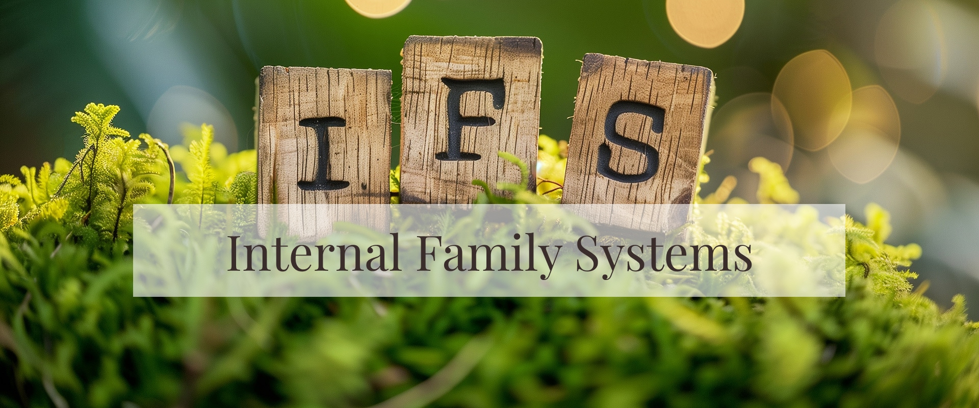 ottawa-therapy-internal-family-systems-ifs-self-reflection Ottawa therapy internal family systems ifs self-reflection