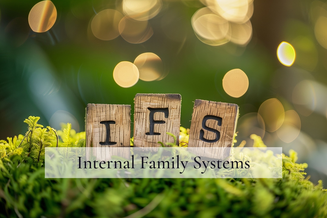 Ottawa therapy internal family systems ifs self-reflection